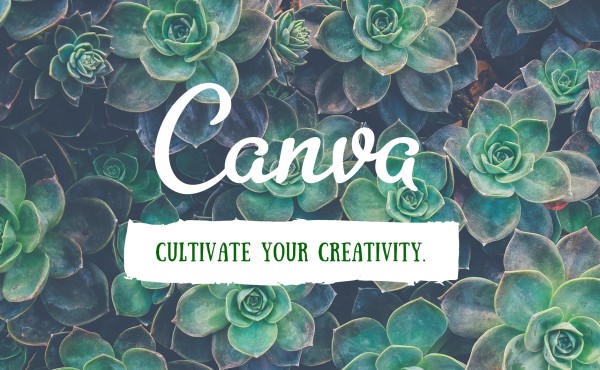 You (yes you) can make drop-dead gorgeous images using Canva.